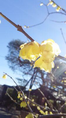 kobayan90's profile picture. 