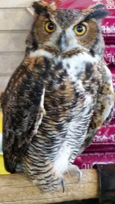 Mitziabc's profile picture. 