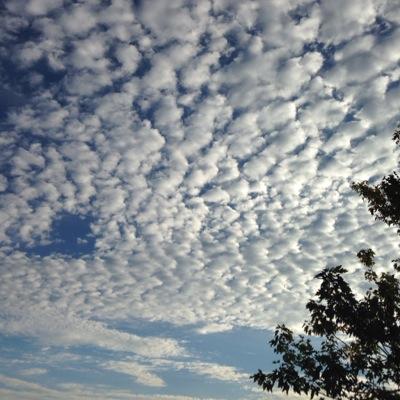 Gafiola's profile picture. 