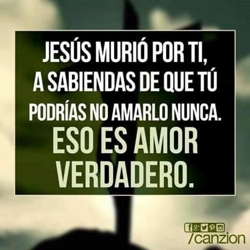 lcheicclucio's profile picture. 