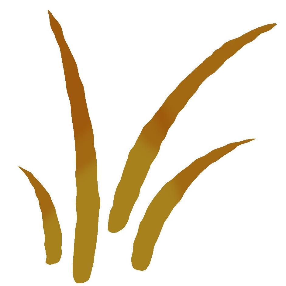 ColdwaterGC's profile picture. 