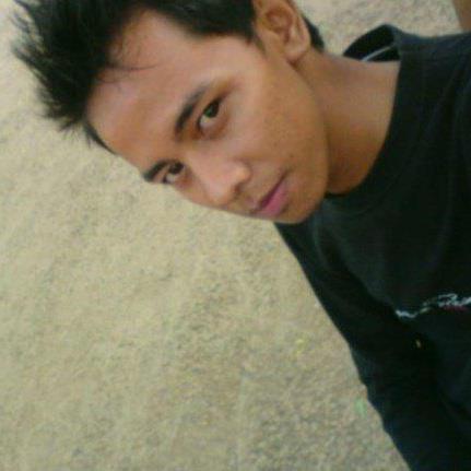 270D49E1 pin gw.