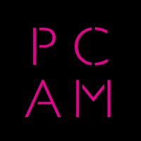 PCAM (@pcamusic) 's Twitter Profile
