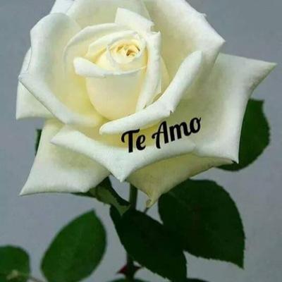 aser buena amigas y amigos