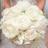 OpeningNFlowers's profile image