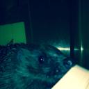 Morgan gilmore - @Morgangilmore14 - Twitter