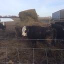 Steve gartner - @steve_gartner - Twitter