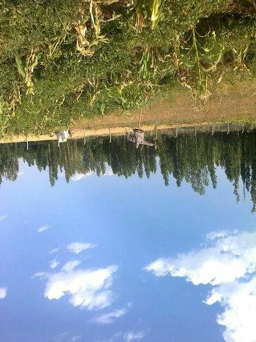 b665ccbcc96d462's profile picture. biskot