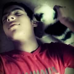 soy sonikero otaku y brony un chico tierno tengo whatsapp +5491153883082