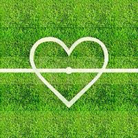 TeLuLu (@t15l77p) Twitter profile photo