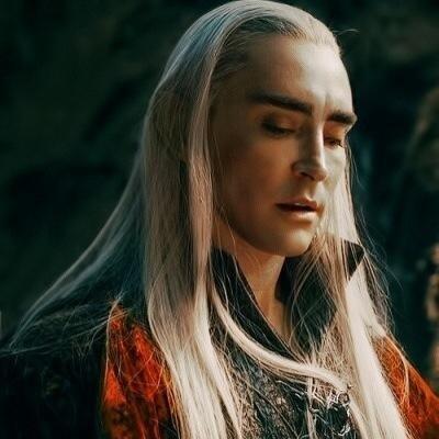 Party King. Elfo Sindar. Padre de Legolas • No enanos, no orcos y tampoco tu. • Such is the nature of evil. In time all foul things come forth. • Fab✨