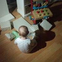 The Leith Harp (@leithharps) 's Twitter Profile