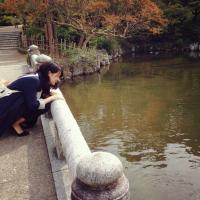 やまだ (@yadama_ru) Twitter profile photo