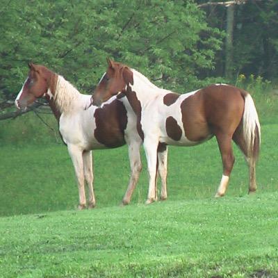 FarmTavernfarm's profile picture. Stone Tavern Farm is a 400 acre horse farm that has transformed into a perfect location for a destination wedding. Call for more information: (607)326-3600