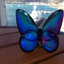 Holly Eicher - @HollyEich - Twitter