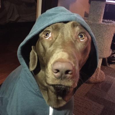 notcoryfeldman's profile picture. no