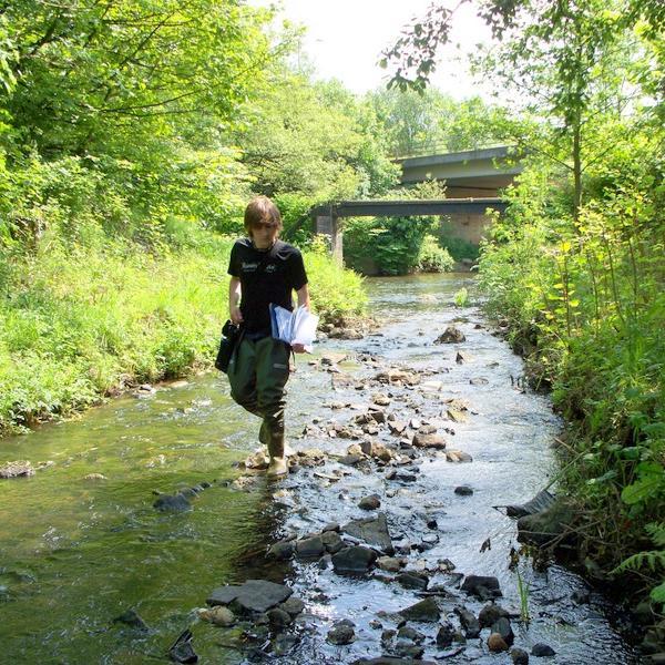 Ecologist: Carnivores, competition, wildlife conflict & trophic ecology. Also #NFFC Trent End. Opinions my own.