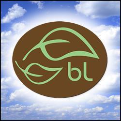 Barrett_LS's profile picture. Let the professional Savannah landscapers at Barrett Landscaping help with your landscaping ideas and problem-solving in and around Savannah, Georgia.