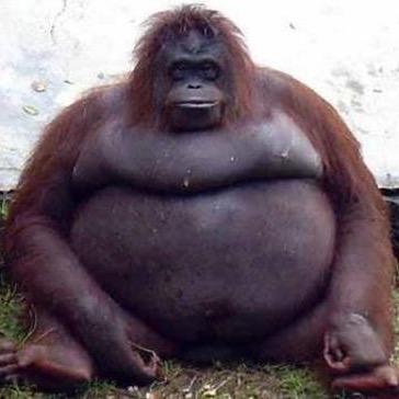 Bethwjo's profile picture. 