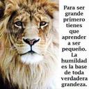 Nadia Rios - @NAlcla - Twitter