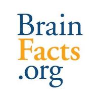 BrainFacts.org (@brain_facts_org) 's Twitter Profile