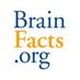BrainFacts.org (@brain_facts_org) Twitter profile photo BrainFacts.org (@brain_facts_org) Twitter profile photo
