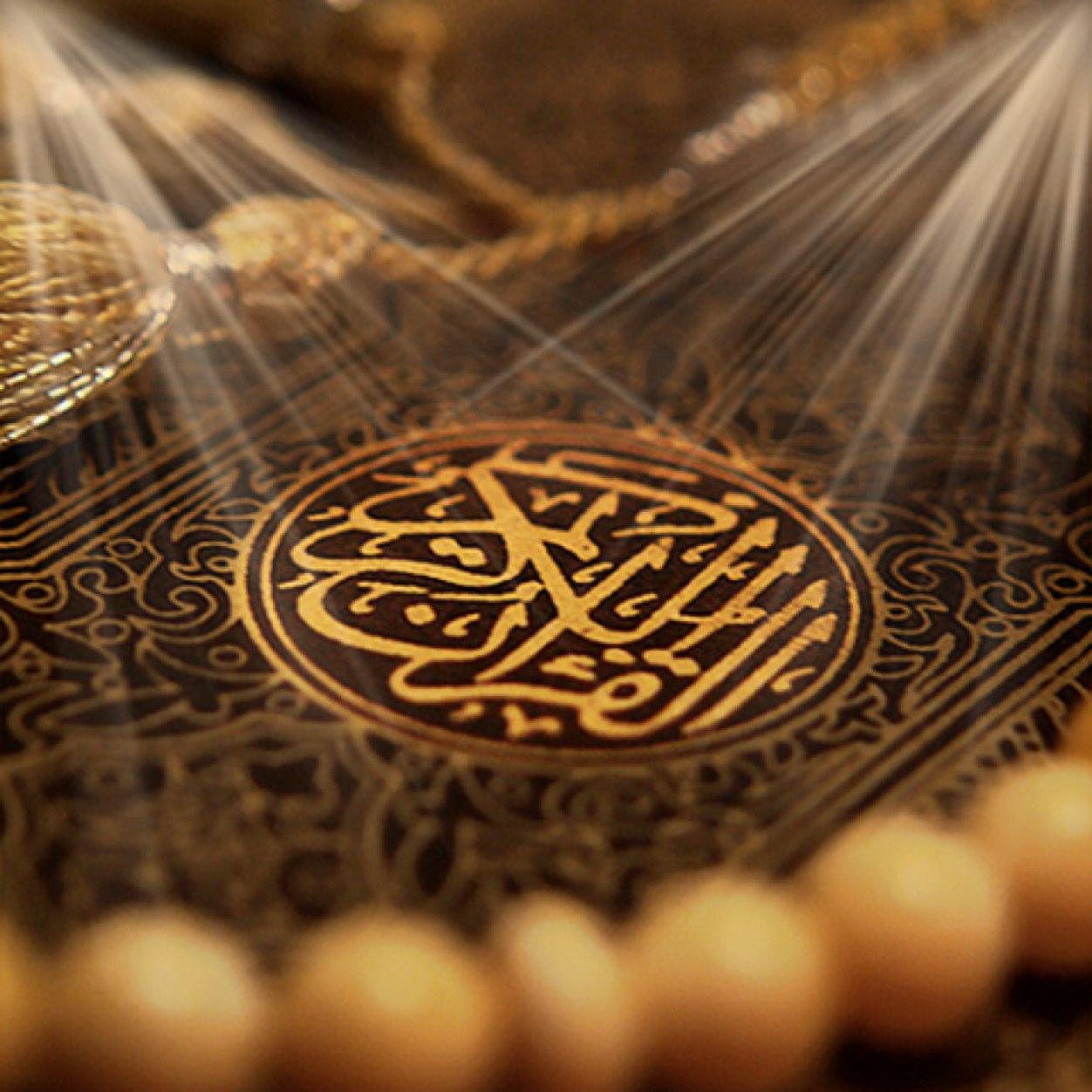 The noble quran   القرآن الكريم