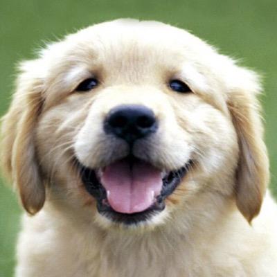 this account is no longer in use:)