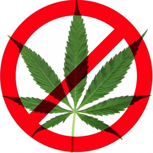 endmarijuananow's profile picture. 