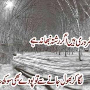 Shahzad11183265's profile picture. love is life