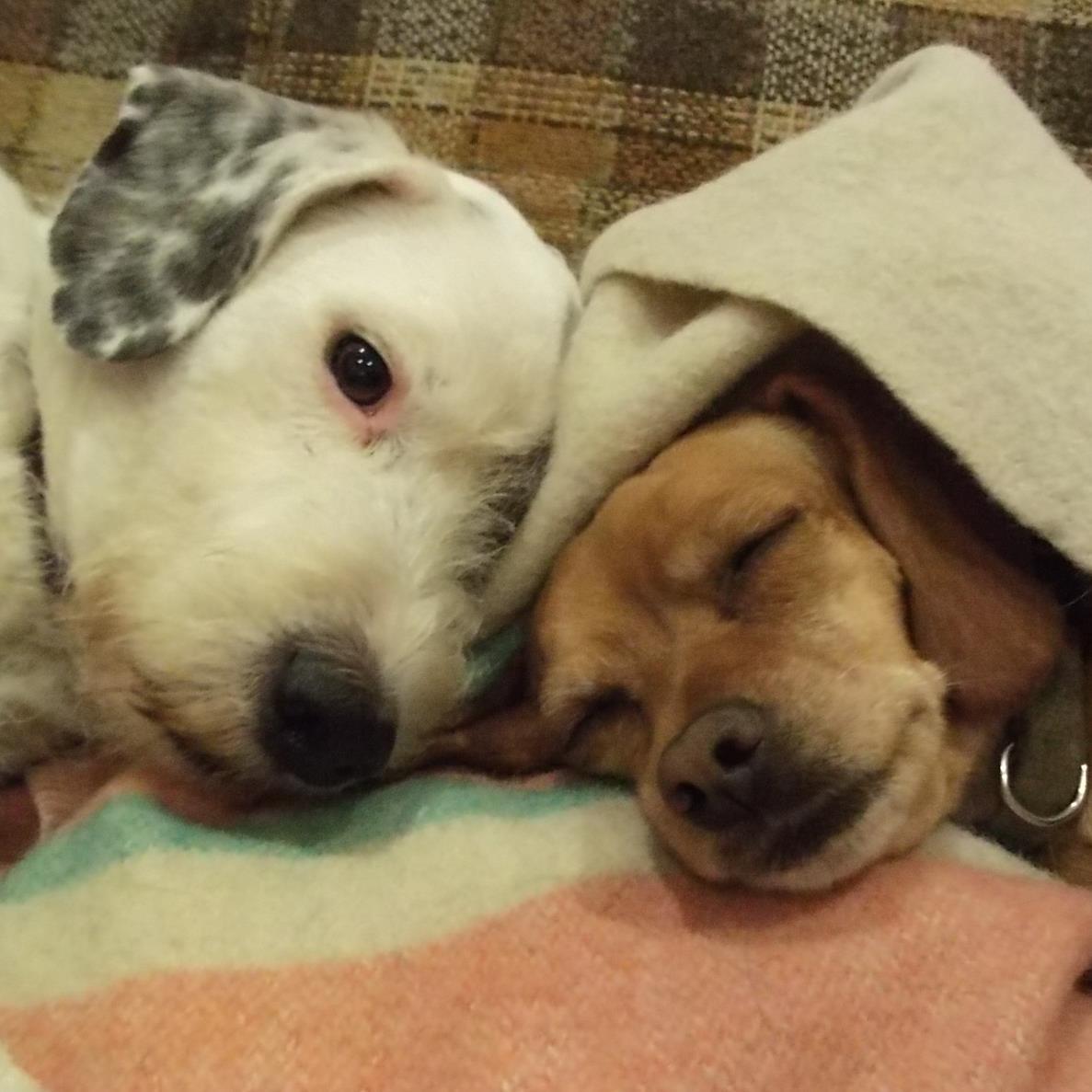 hamiltonhobo's profile picture. Selling vintage since 1998