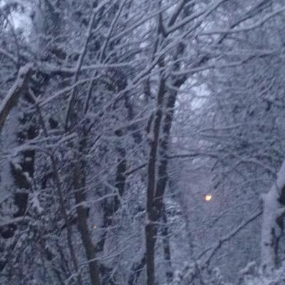 jenkej's profile picture. 