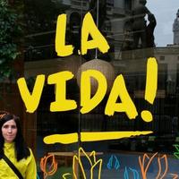 María González Díaz (@myovivet) 's Twitter Profile