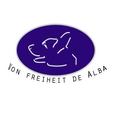 FCM.Adquiere un ejemplar de obediencia o guardia y protección(personal,casa,negocio) Pensión y entrenamiento para tu mascota 365 días Clase demo Gratis Inf DM