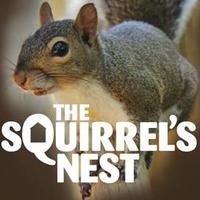 robert v (@squirrelsnestms) 's Twitter Profile