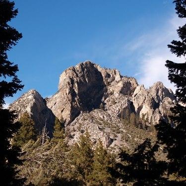 Mt Charleston Lodge On Twitter We Now Have A Dog Deck Menu A