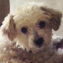 sonia simon - @sonia03sh - Twitter