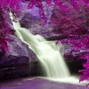 Trina Robbins - @TrinaRobbins16 - Twitter