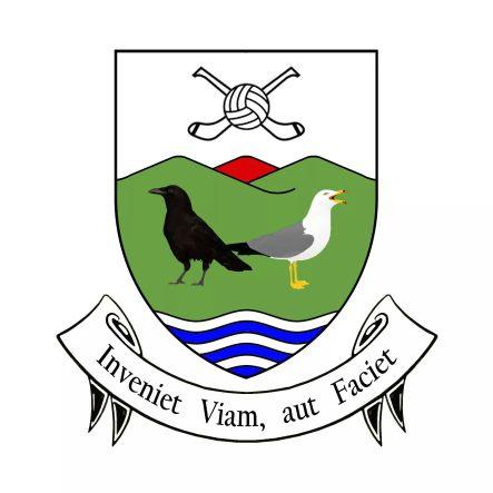 GAA club based in Sussex with men's and women's football teams. Community at the heart. All abilities welcome! DM us for for info.