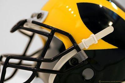 Die hard Michigan  and Toledo fan. Love God and my family