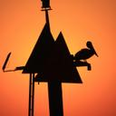 Cody Molowski - @codymophoto - Twitter