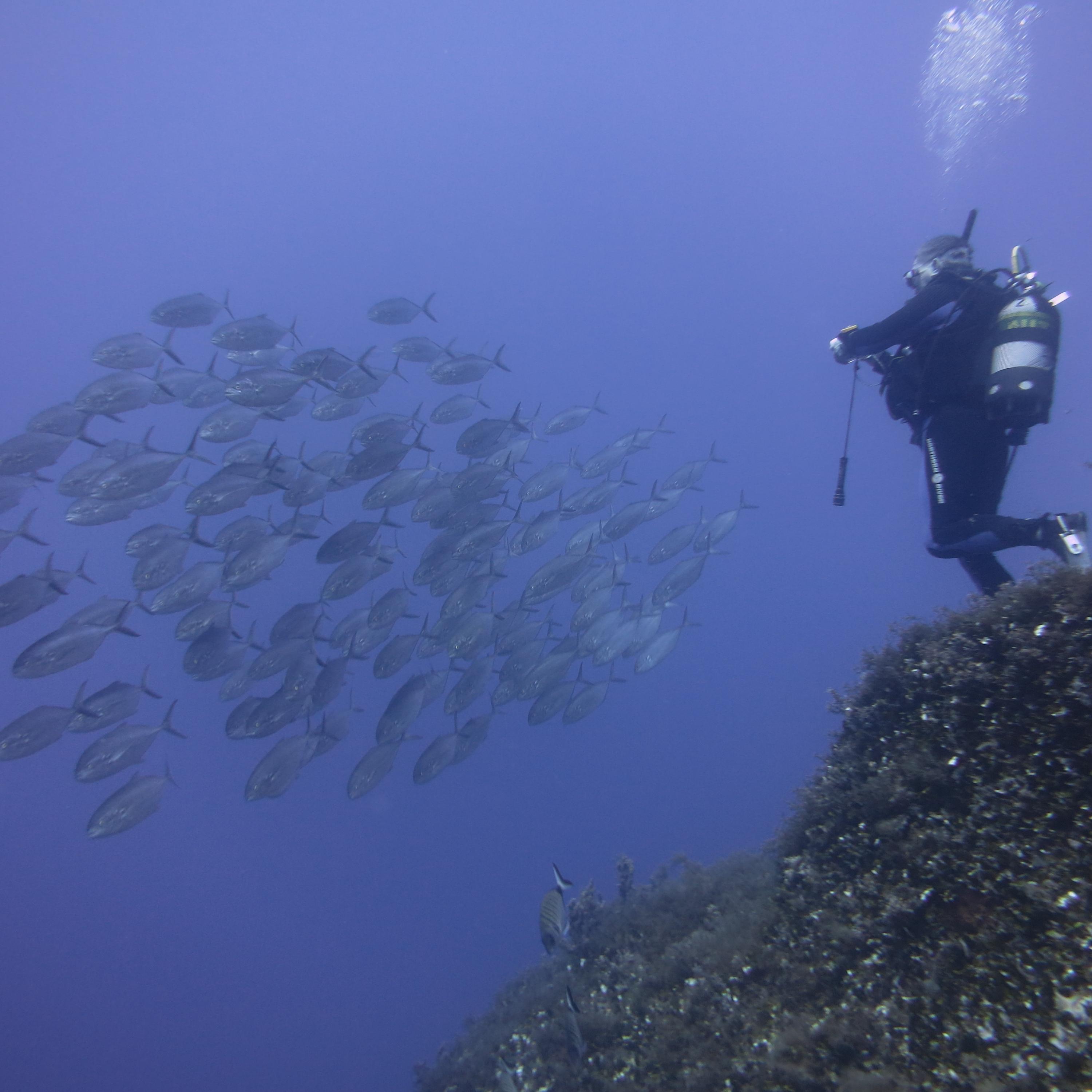 At happiest underwater.