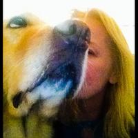 Gabriele Unsummen (@unsummen) Twitter profile photo