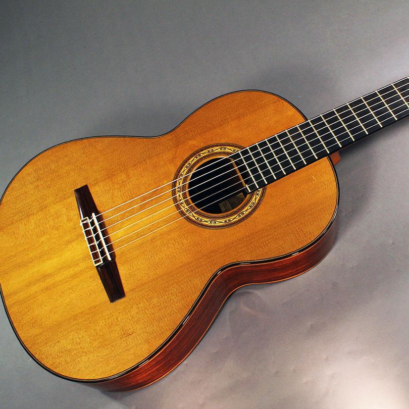 The Ottawa Guitar Society is an organization of classical guitar enthusiasts and players in Ottawa.