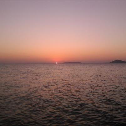 devrimbakal's profile picture. 