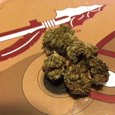 connoisseur of cannabis culture