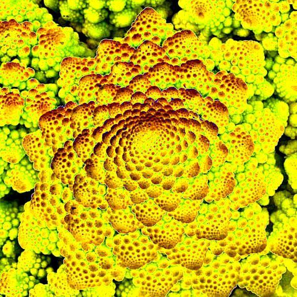 linse_ebooks's profile picture. 