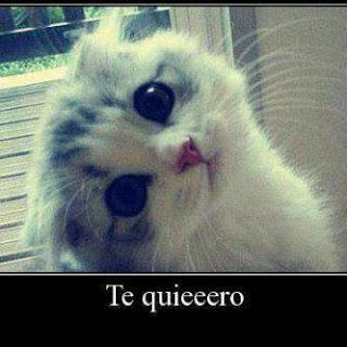 camila6767574's profile picture. feliz