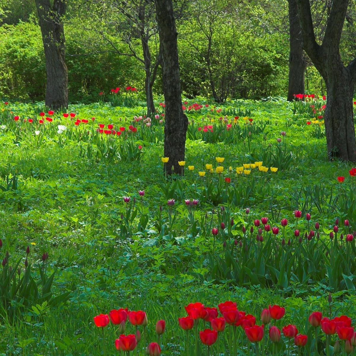 BoatnetNet's profile picture. 