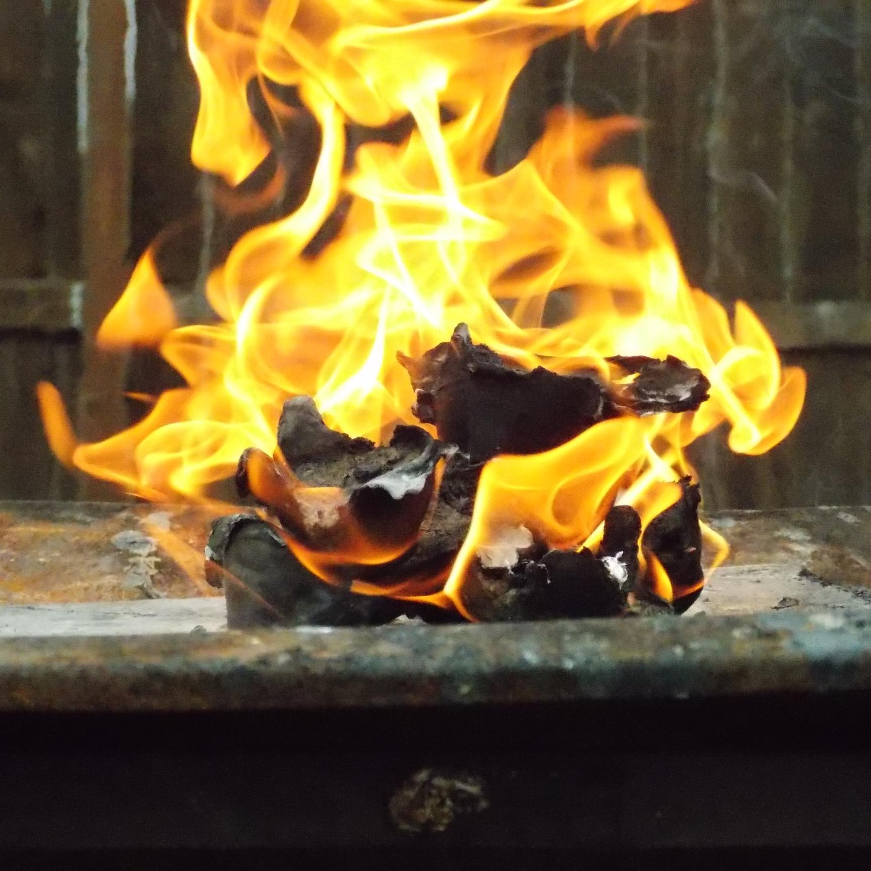 raycortes99's profile picture. 